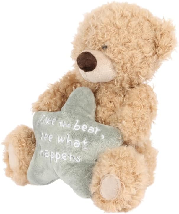 A soft tan plush teddy bear with textured fur holding a light blue star pillow embroidered with white text