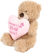 A plush tan teddy bear holding a pink heart-shaped pillow with embroidered text showing the back side