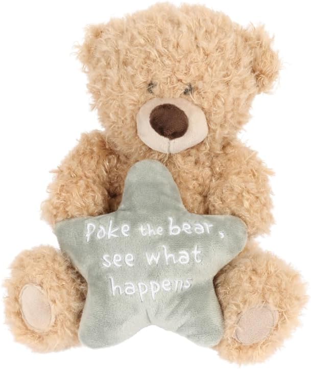 A soft tan plush teddy bear holding a light blue star pillow that says poke the bear see what happens